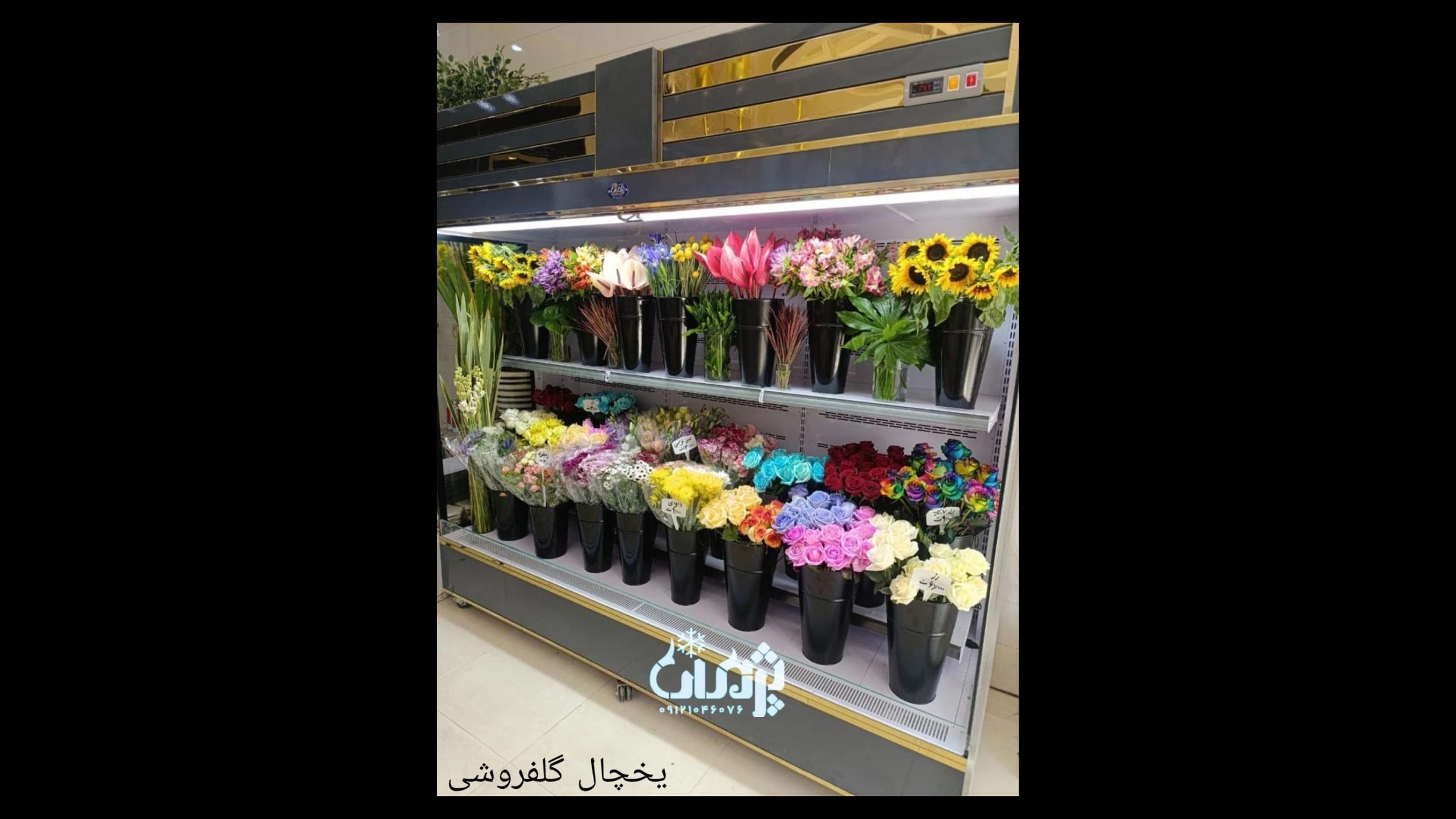 یخچال گل